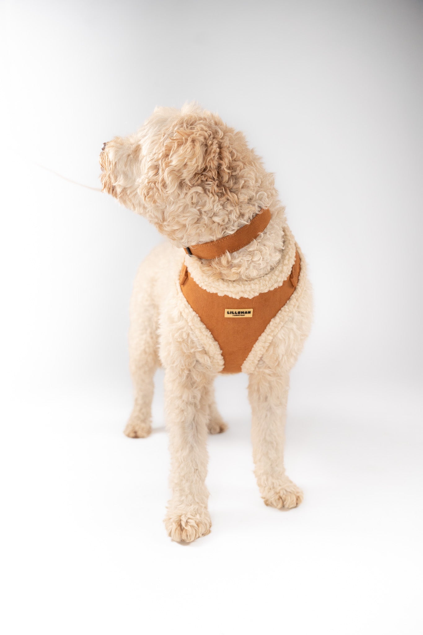 Shearling Aviator Harness
