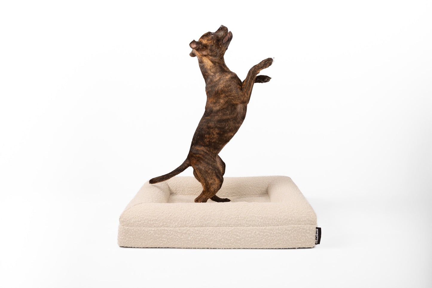 Small Memory Foam Bouclé Bed