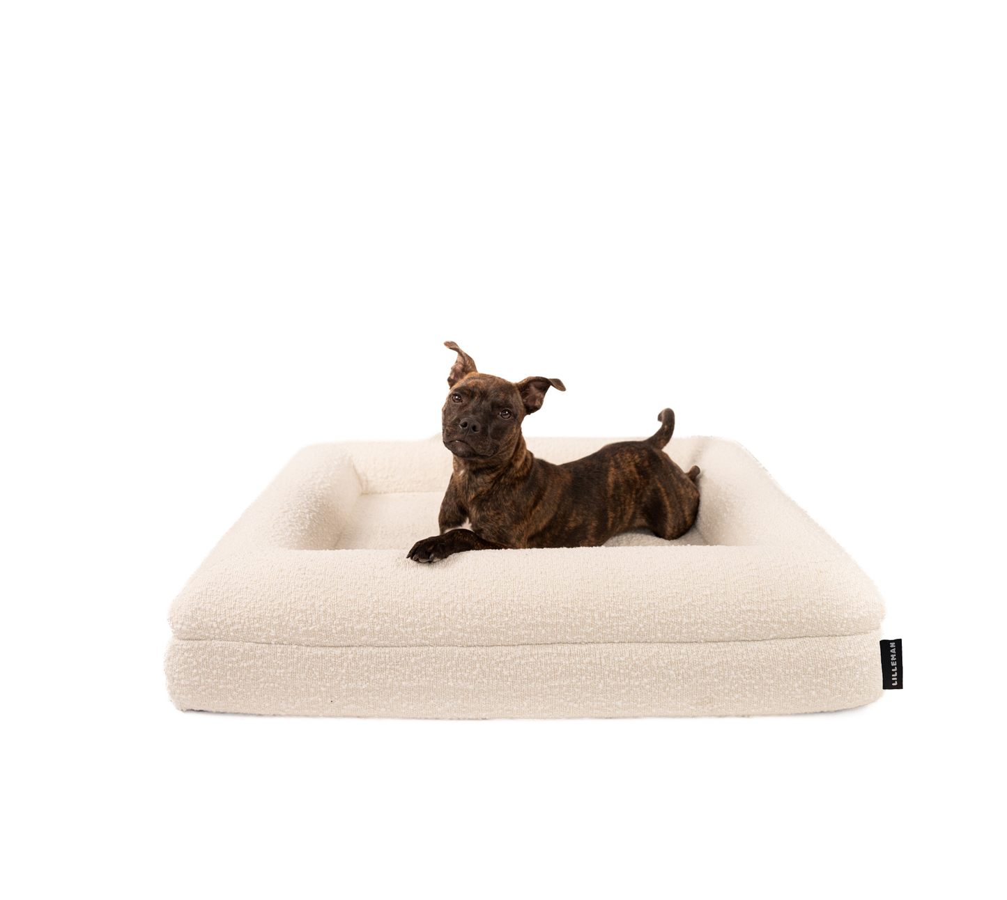 Medium Memory Foam Bouclé Bed