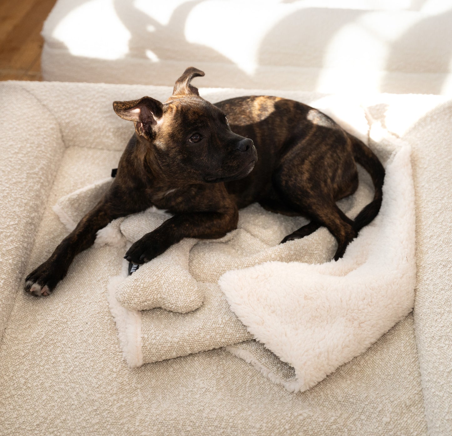 Bouclé Dog Bone Toy