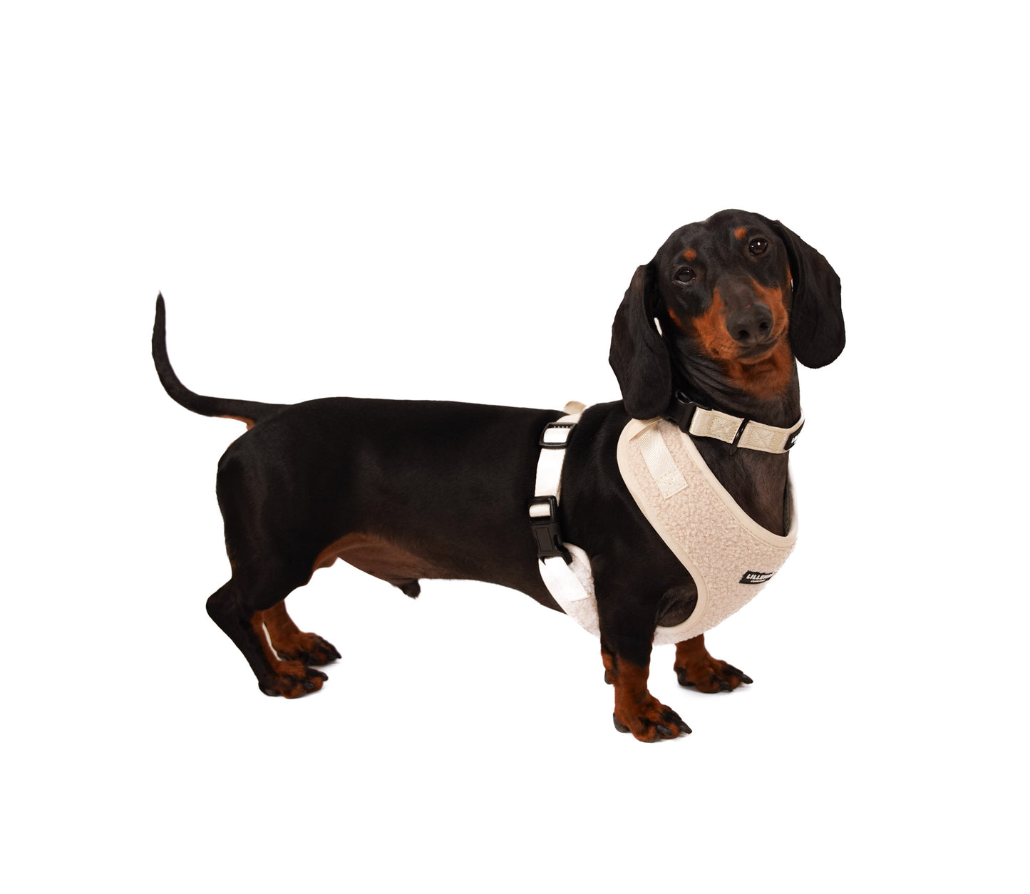 Lilleman Teddy Harness