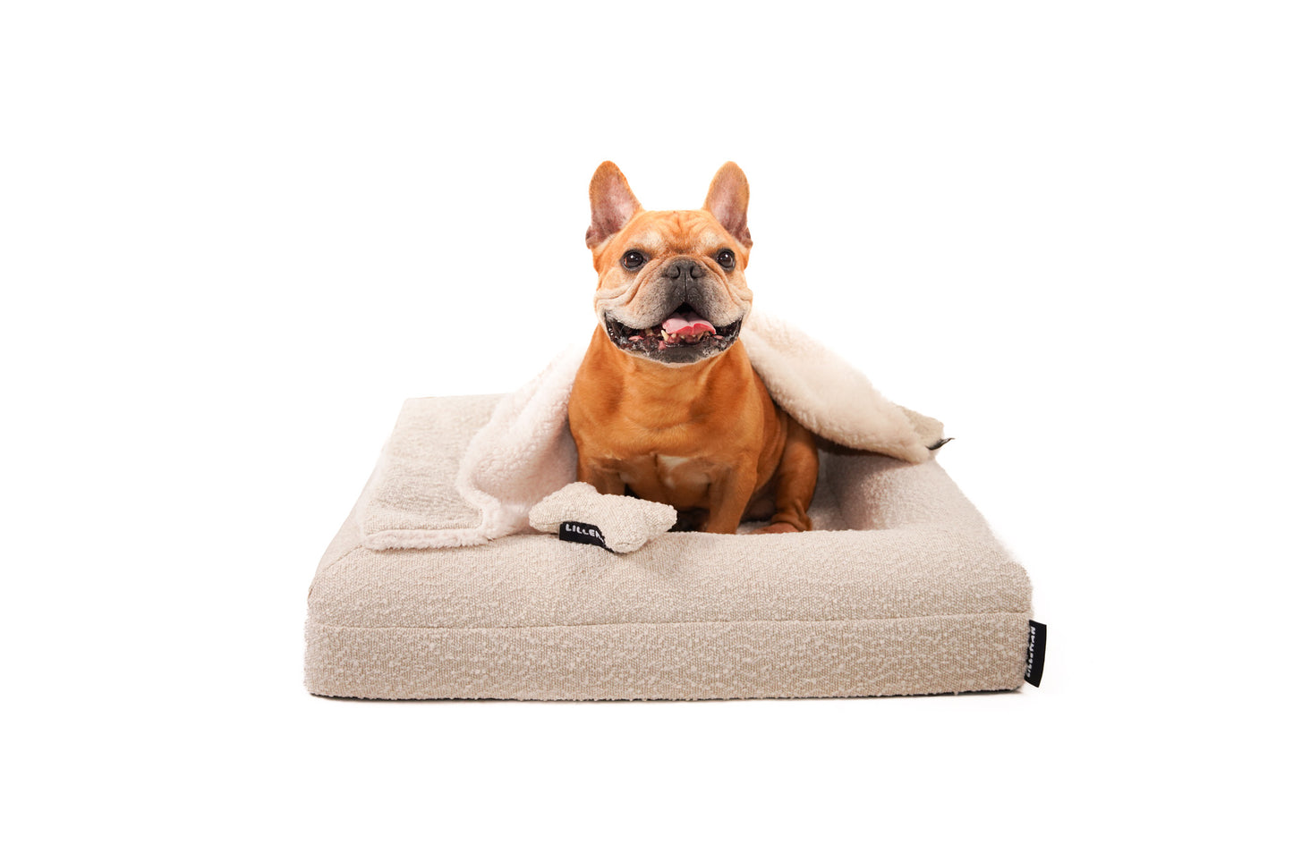 Small Memory Foam Bouclé Bed