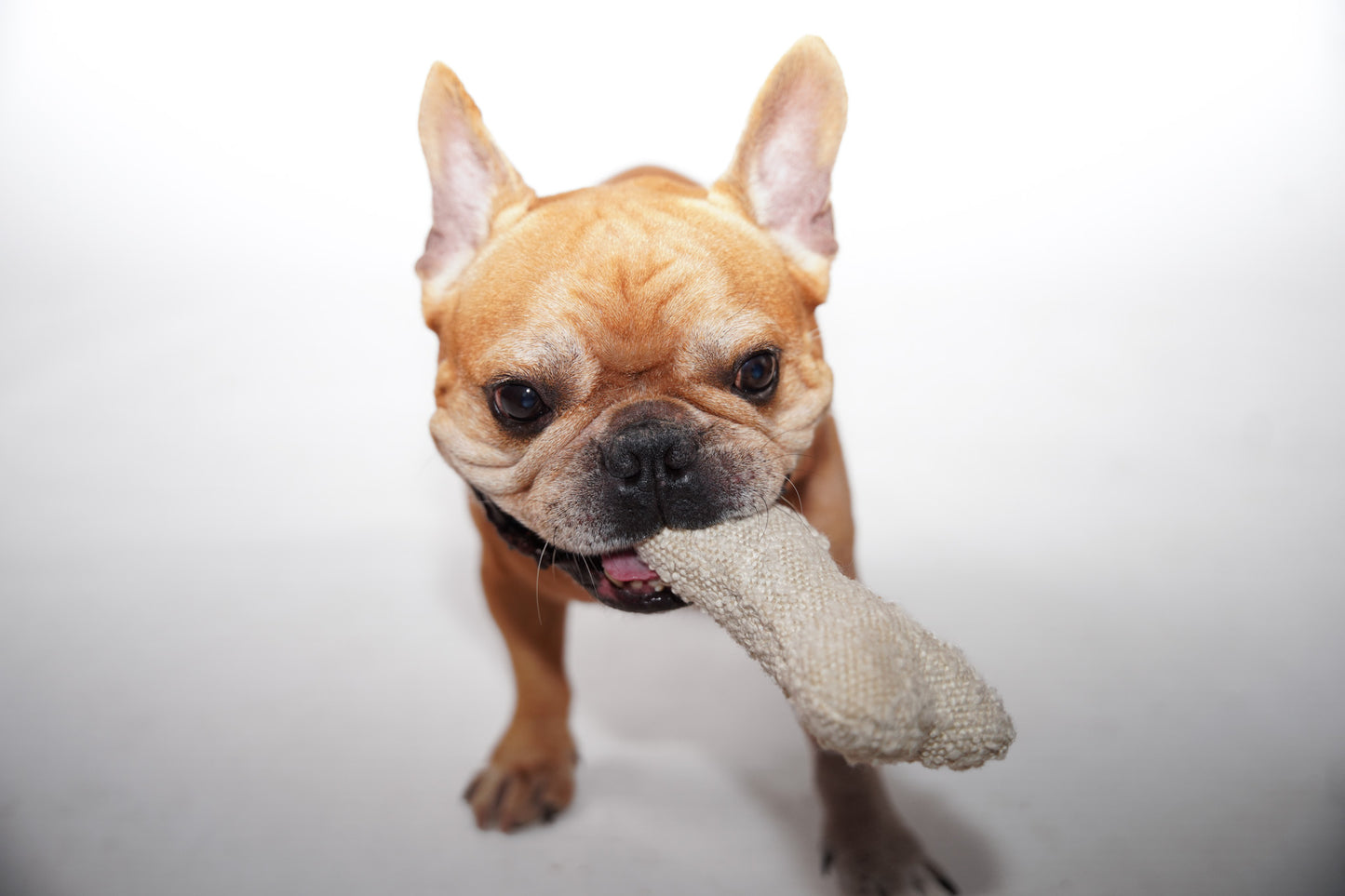 Bouclé Dog Bone Toy