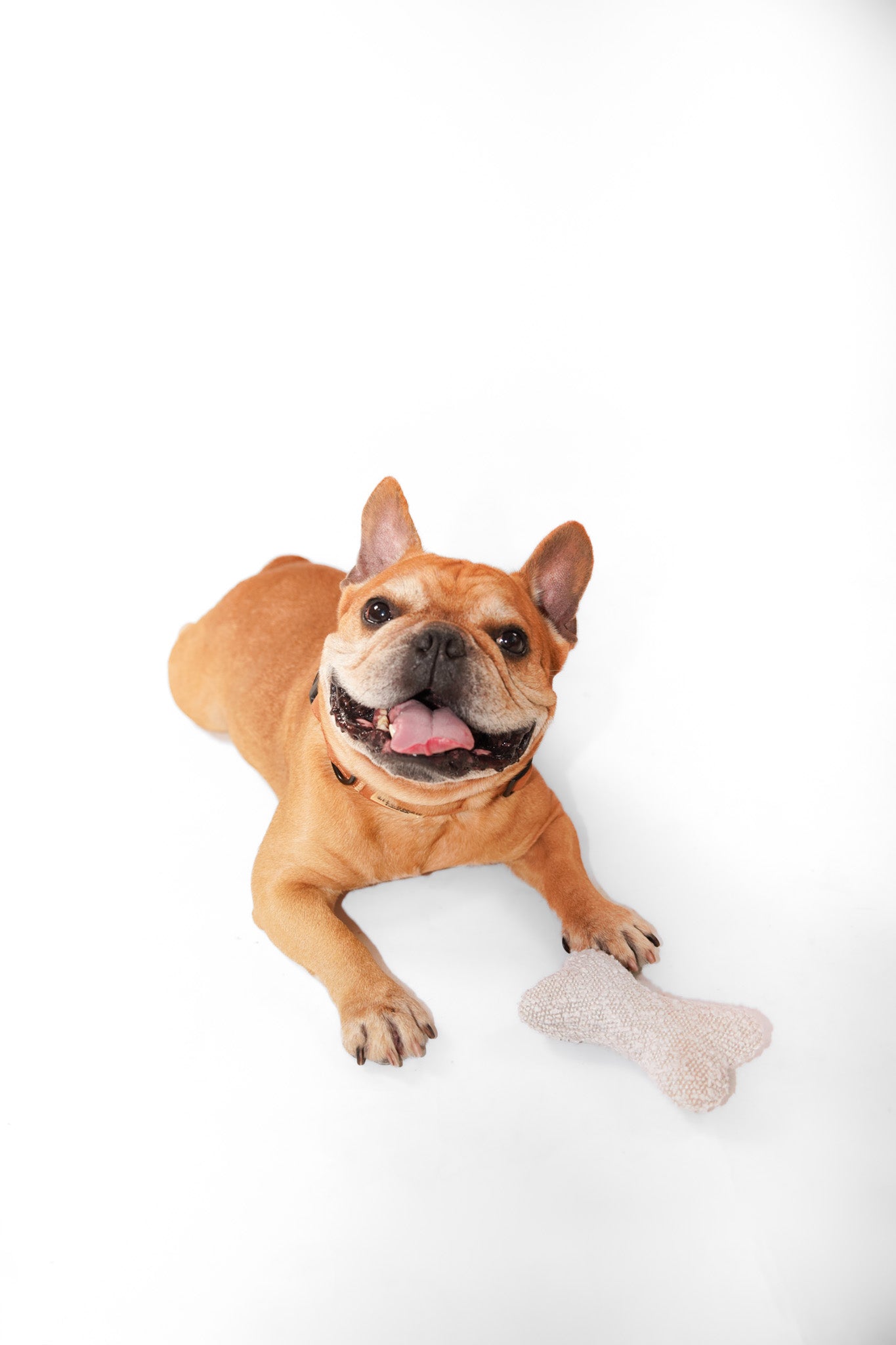Bouclé Dog Bone Toy
