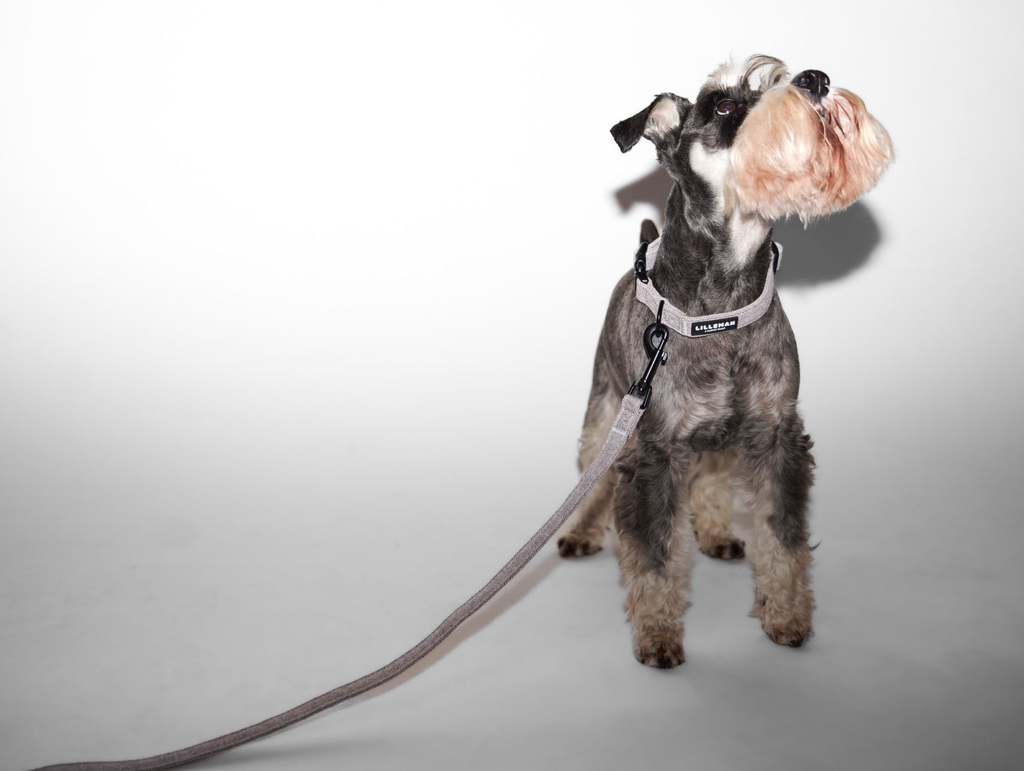 Tweed Collar