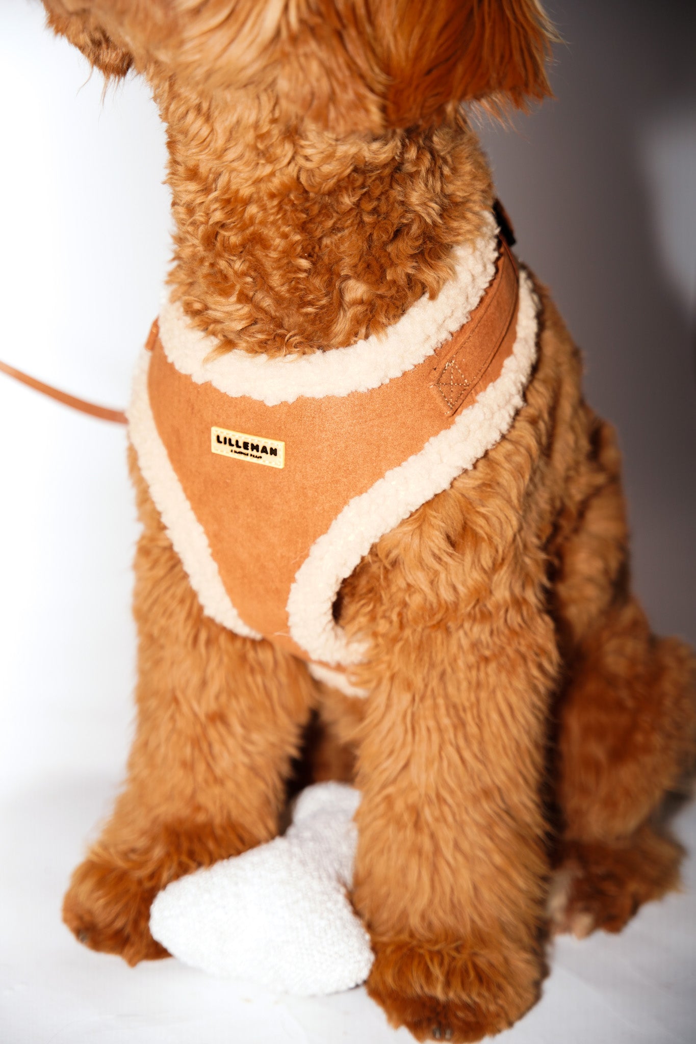 Shearling Aviator Harness