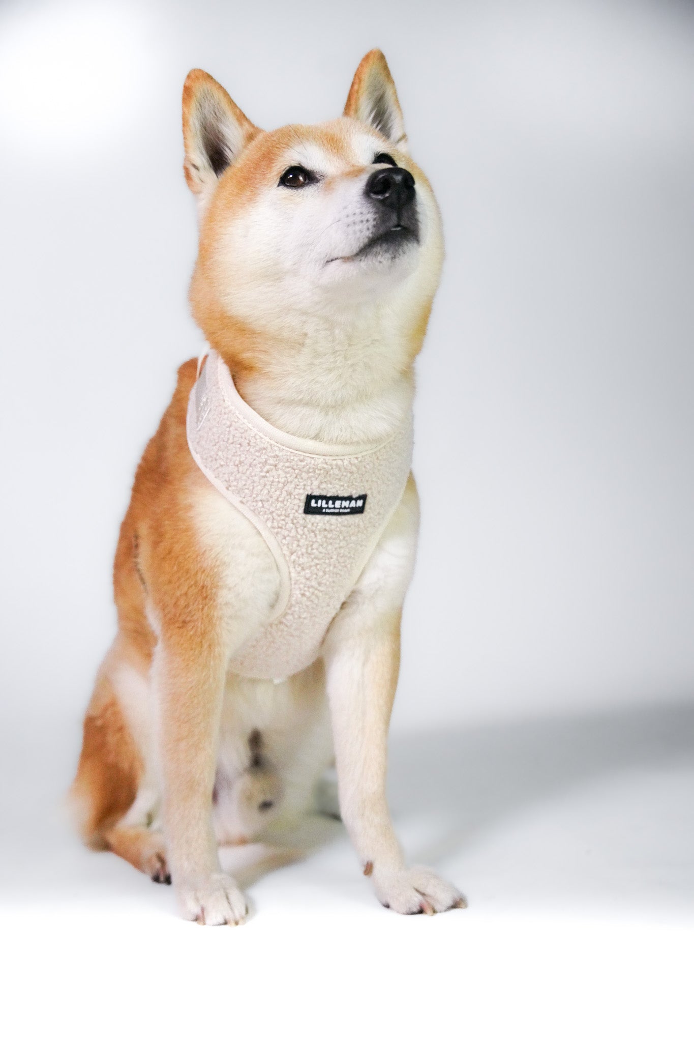 Lilleman Teddy Harness