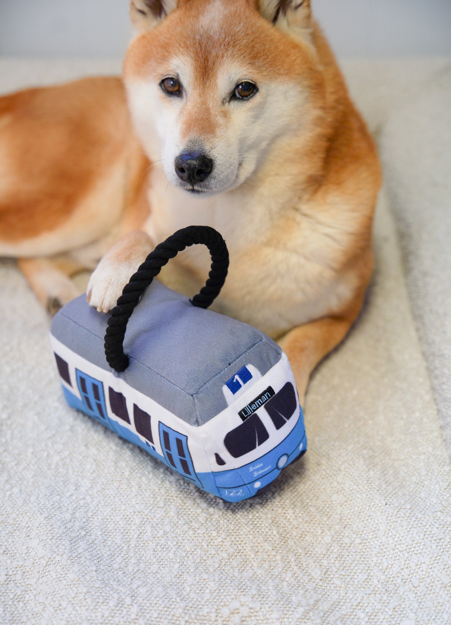 Spårvagn Dog Toy