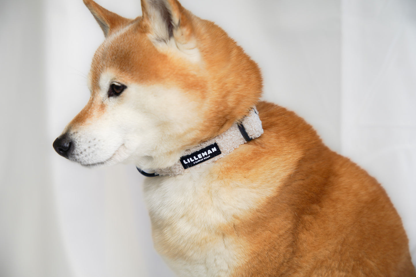 Lilleman Teddy Collar
