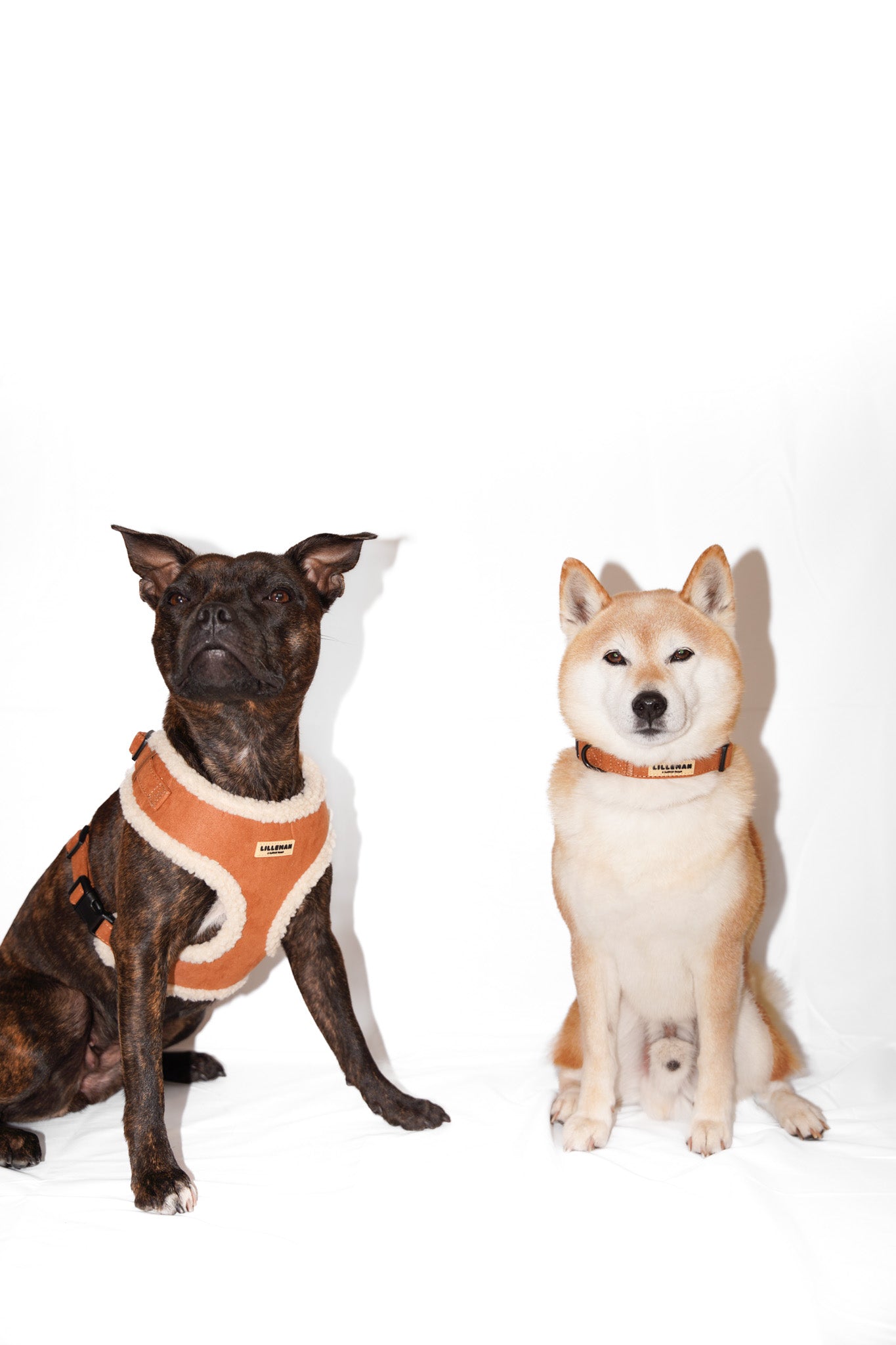 Shearling Aviator Harness