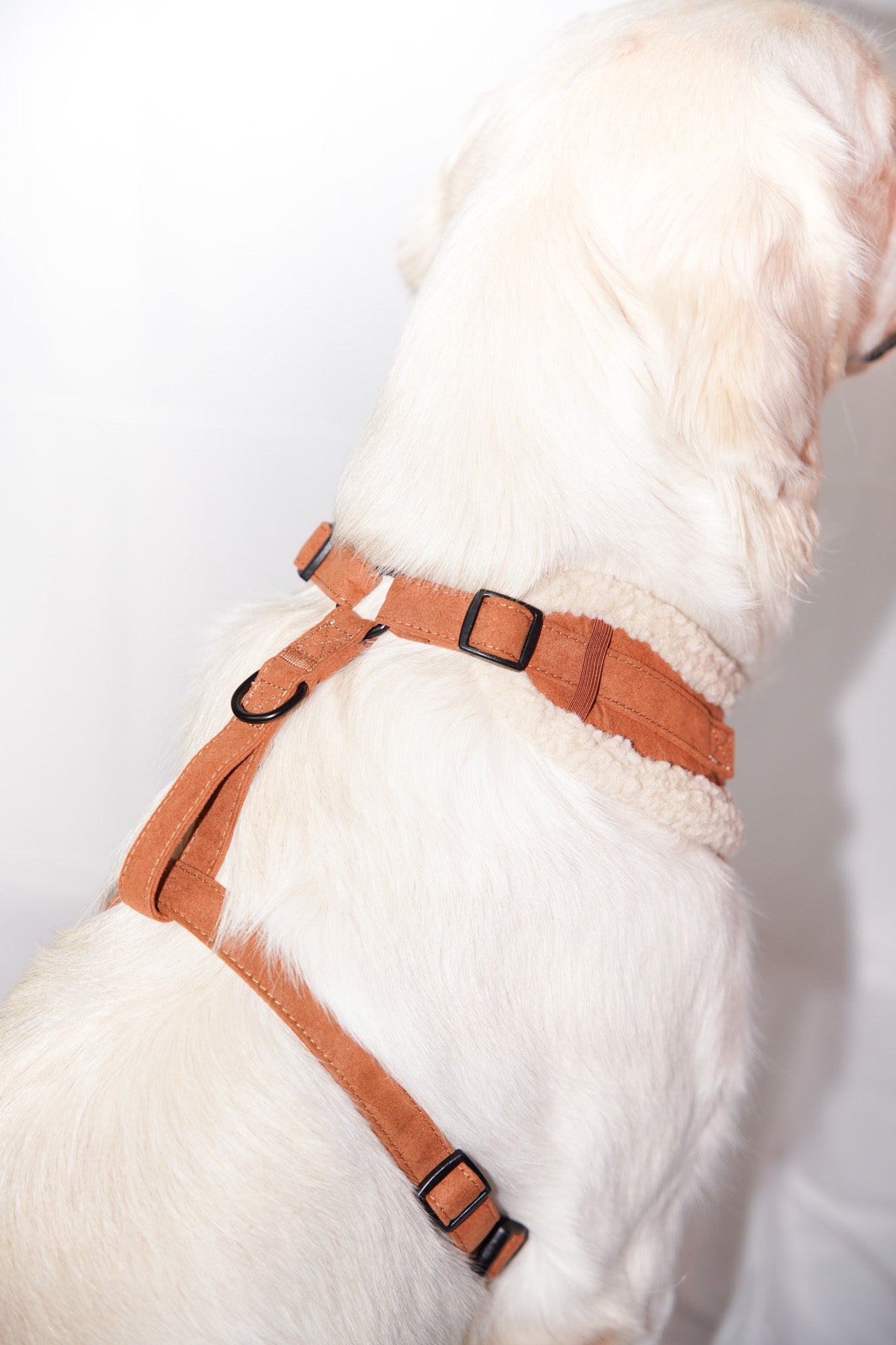 Shearling Aviator Harness