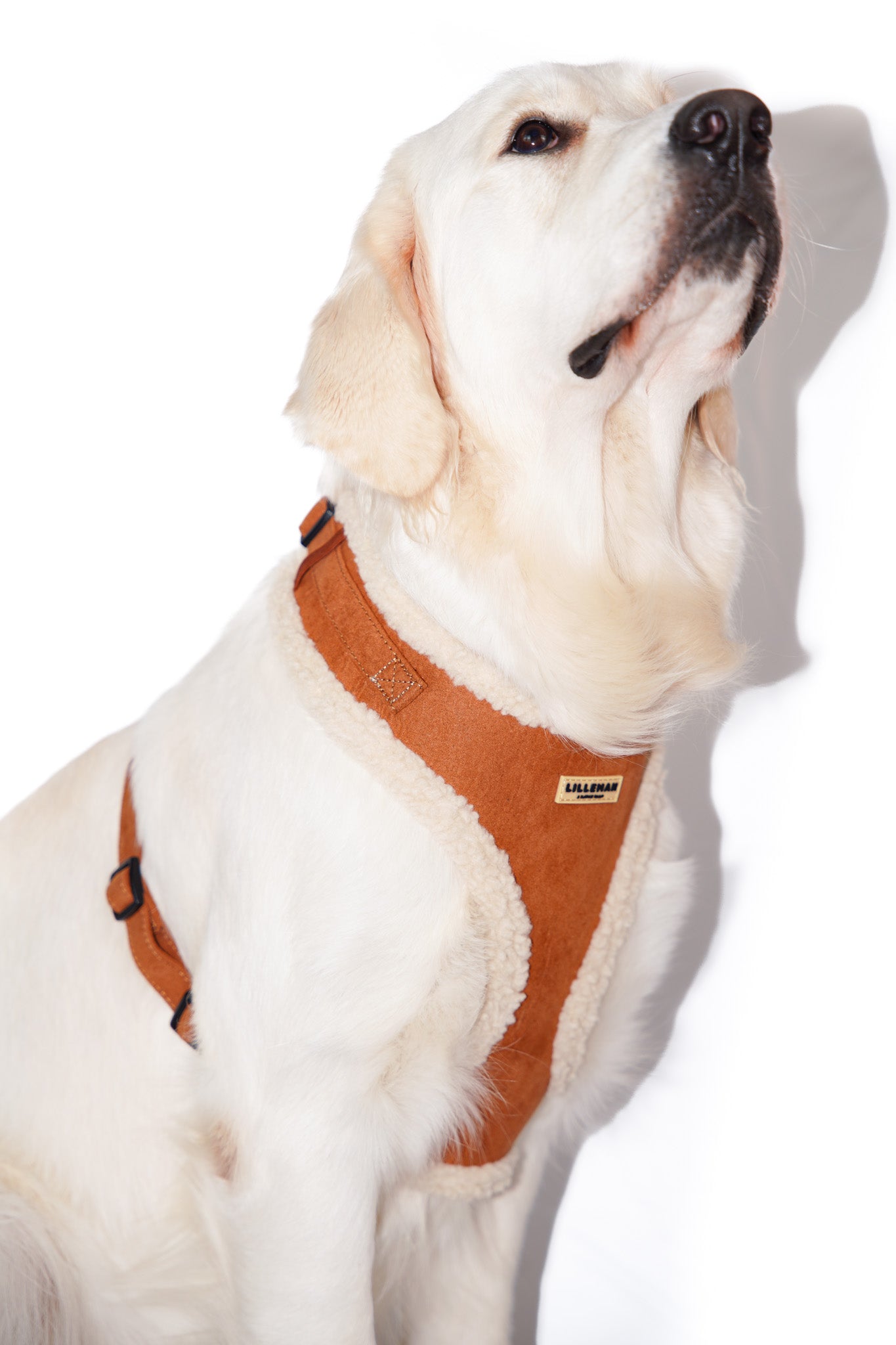 Shearling Aviator Harness