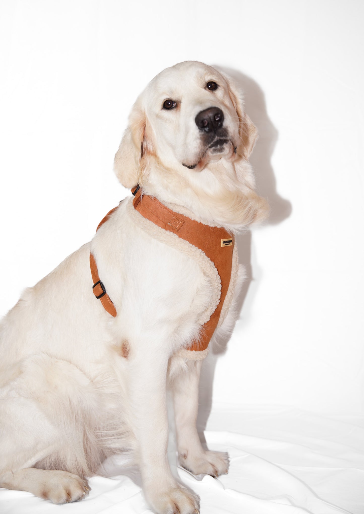 Shearling Aviator Harness
