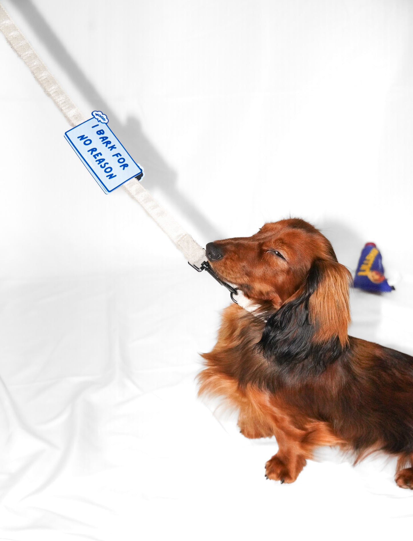 I Bark For No Reason Walk Patch