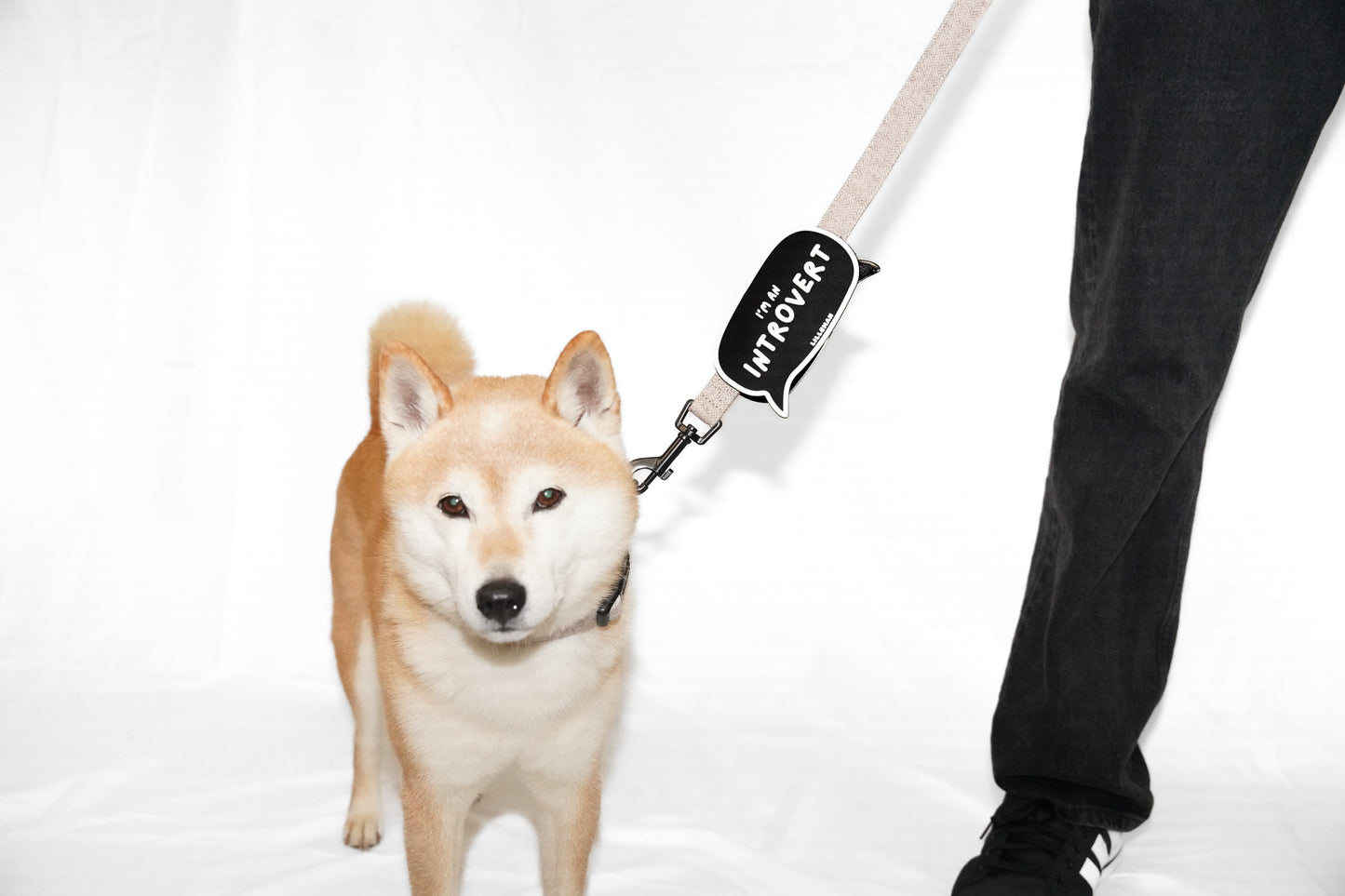 I'm an Introvert Walk Patch