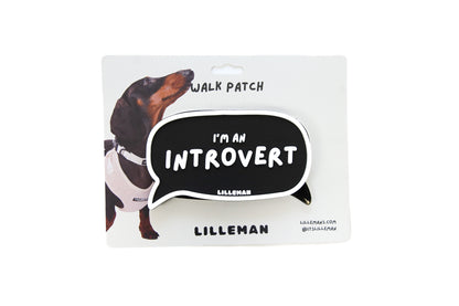 I'm an Introvert Walk Patch