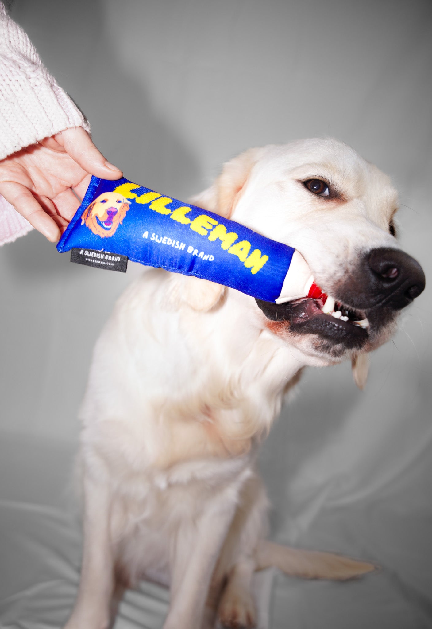 Frukost Dog Toy
