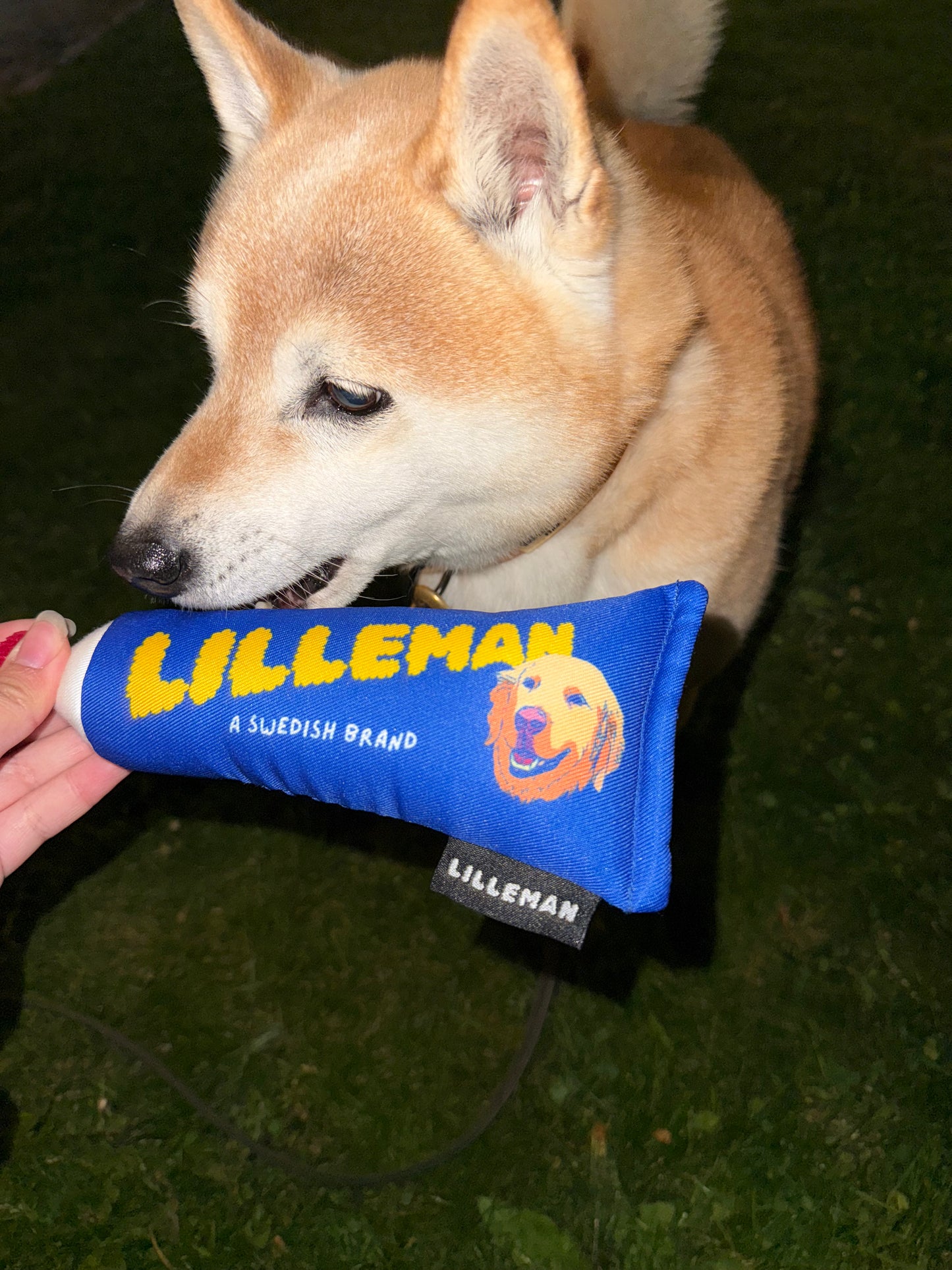 Frukost Dog Toy