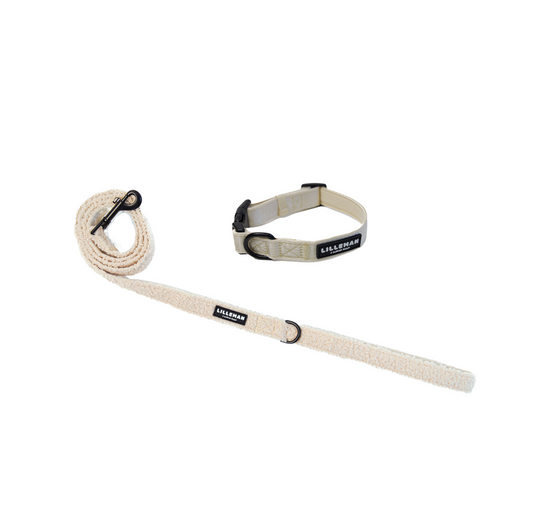 Sleek Teddy Starter Set