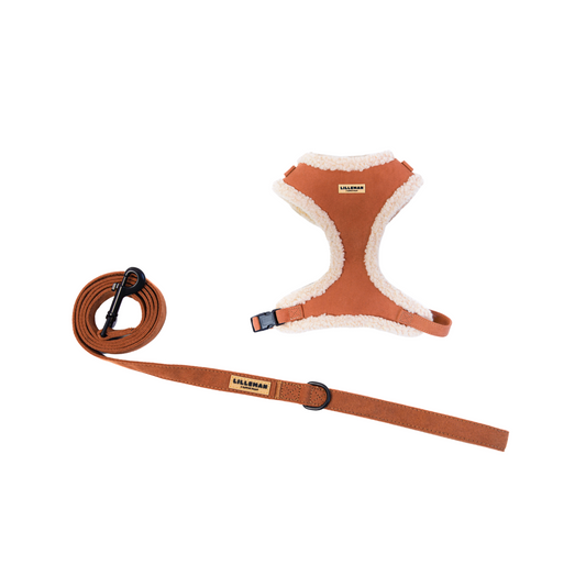 Aviator Essentials Set