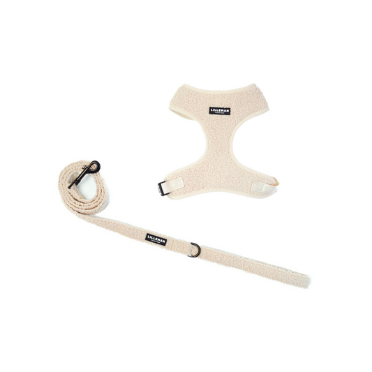 Teddy Essentials Set