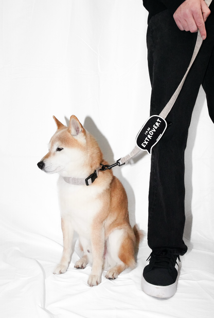 I'm an Extrovert Walk Patch