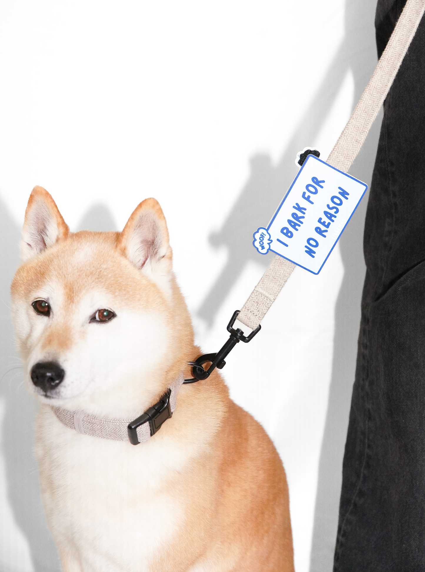 I Bark For No Reason Walk Patch