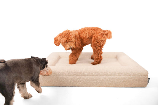 Large Bouclé Bed Set